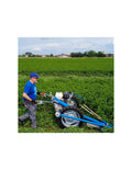 Honda Generador XGREENS X70MTE CR 6 kVA trifásico con mando a distancia